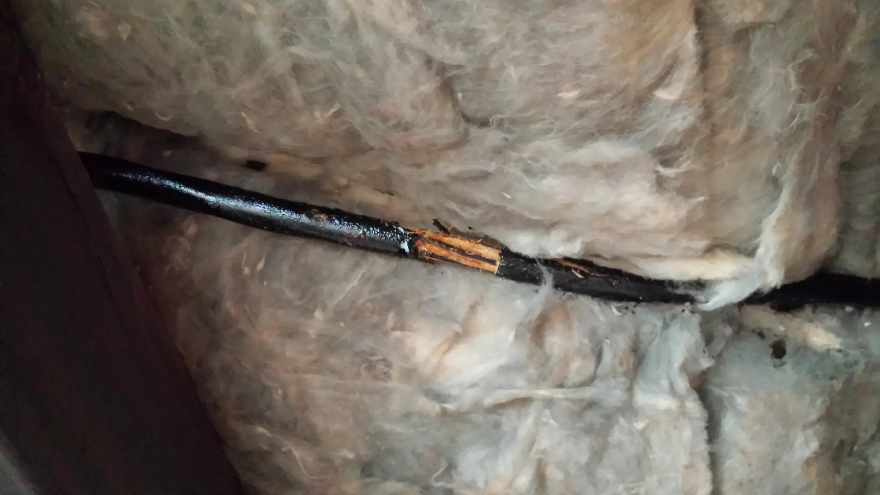 Three-phase cable inside a sauna wall, burnt right through to the bare wires